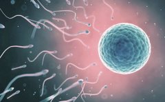 ȡ�Ѻ�ˮ��������' /></a></div>
		<div class=